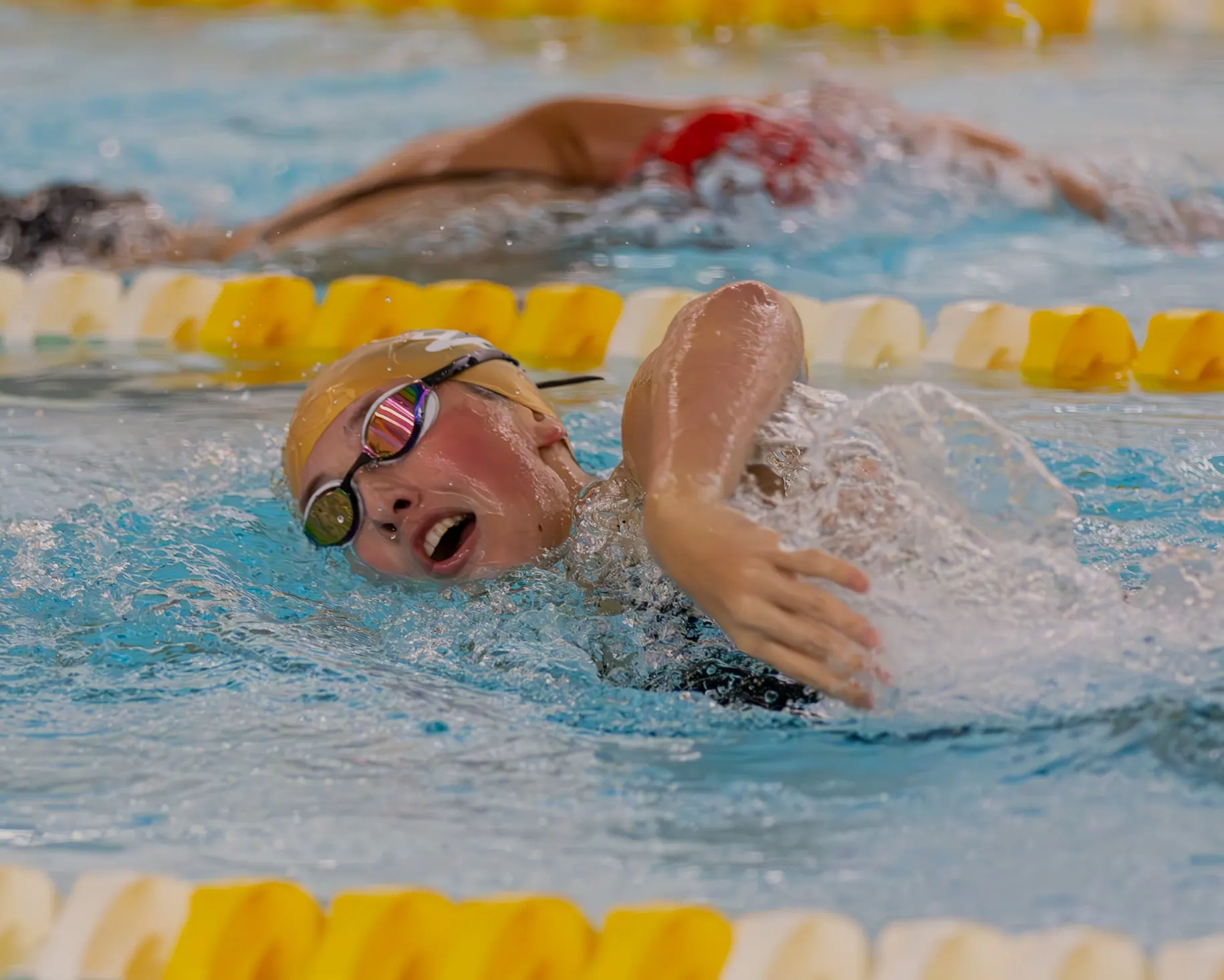 Sports photography by James Wiseman — dow-swimming-3814.jpg